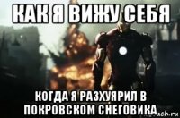 как я вижу себя когда я разхуярил в покровском снеговика