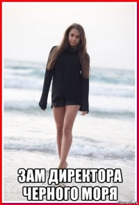  зам директора черного моря
