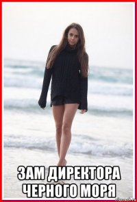  зам директора черного моря