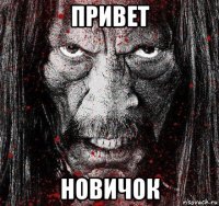 привет новичок