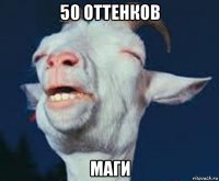 50 оттенков маги