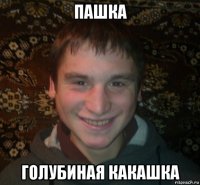 пашка голубиная какашка