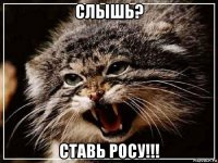 слышь? ставь росу!!!