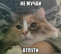 не мучай атпути