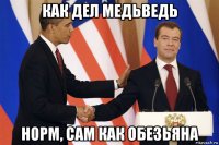 как дел медьведь норм, сам как обезьяна