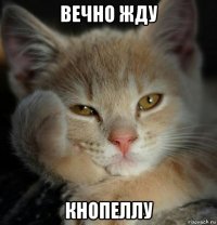 вечно жду кнопеллу