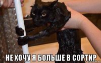  не хочу я больше в сортир