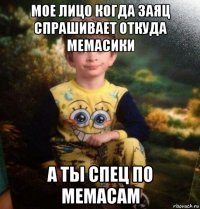 мое лицо когда заяц спрашивает откуда мемасики а ты спец по мемасам