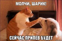  сейчас припев будет