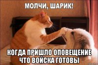  когда пришло оповещение что войска готовы