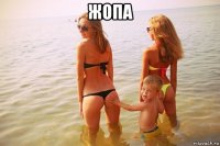 жопа 