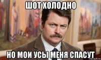 шот холодно но мои усы меня спасут