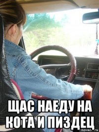  щас наеду на кота и пиздец