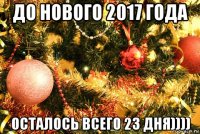 до нового 2017 года осталось всего 23 дня))))