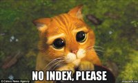  no index, please