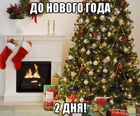 до нового года 2 дня!