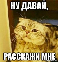 ну давай, расскажи мне