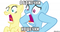 о божечки кошечки