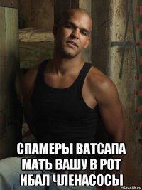  спамеры ватсапа мать вашу в рот ибал членасосы