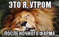 это я, утром после ночного фарма