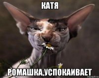 катя ромашка,успокаивает