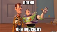 олени они повсюду