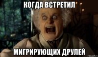 когда встретил мигрирующих друлей