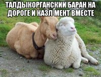 талдыкорганскии баран на дороге и казл мент вместе 