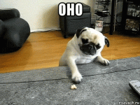 оно 