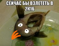 сейчас бы взлететь в 2к16 