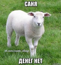 саня денег нет