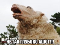  не так глубоко ашот!!!