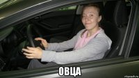  овца