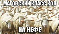 маговский класс кол на нефе