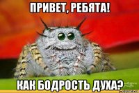 привет, ребята! как бодрость духа?