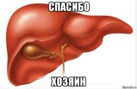 спасибо хозяин