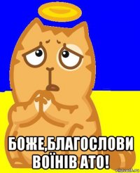  боже,благослови воїнів ато!
