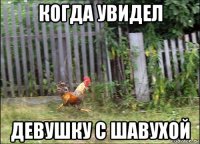 когда увидел девушку с шавухой