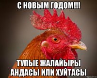 с новым годом!!! тупые жалайыры андасы или хуйтасы