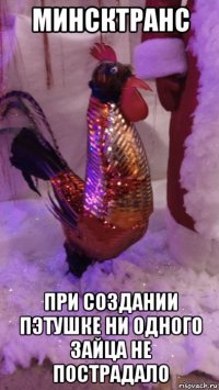минсктранс при создании пэтушке ни одного зайца не пострадало
