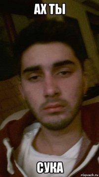 ах ты сука