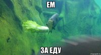 ем за еду