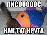 писооооос как тут крута