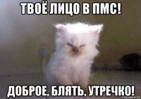 твоё лицо в пмс! доброе, блять, утречко!