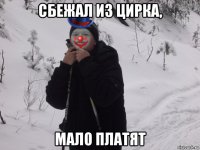 сбежал из цирка, мало платят