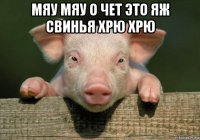 мяу мяу о чет это яж свинья хрю хрю 