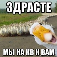 здрасте мы на кв к вам