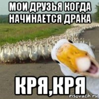 мои друзья когда начинается драка кря,кря