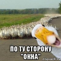  по ту сторону "окна"