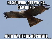 не хочешь лететь на самолёте лети на птице-коршуне